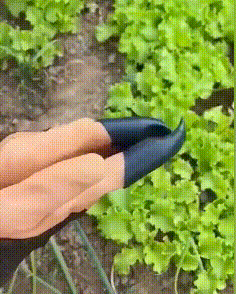 Garden Claw Gloves